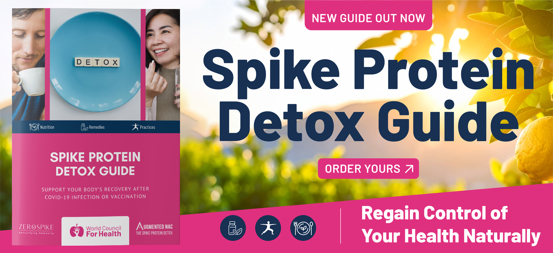 Spike Protein Detox How To